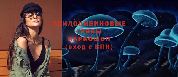 молекула духа Наволоки