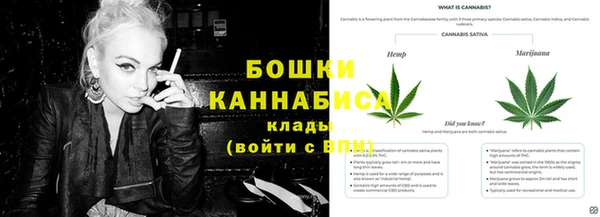 apvp Арсеньев