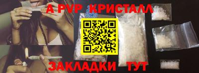 прущие крисы Гай