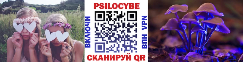 наркота  Качканар  Псилоцибиновые грибы прущие грибы 